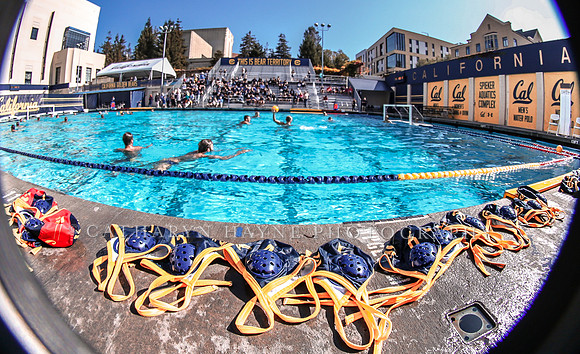 Collegiate Mens Water Polo: California Golden Bears vs UC Santa Barbara Gauchos