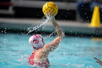Alyssa Mullane