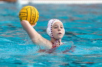 Collegiate Women's Water Polo: Stanford Invitational: California Golden Bears vs Indiana University Hoosiers