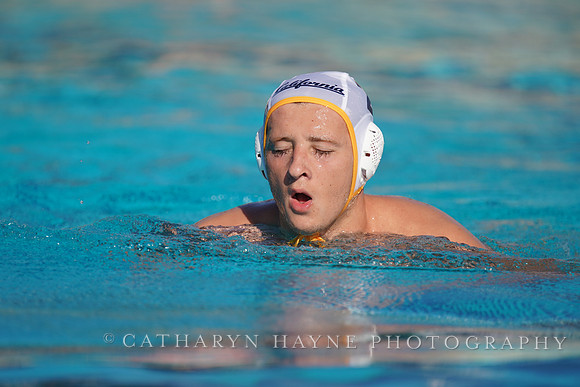 MWP:UC Davis Aggies vs California Golden Bears