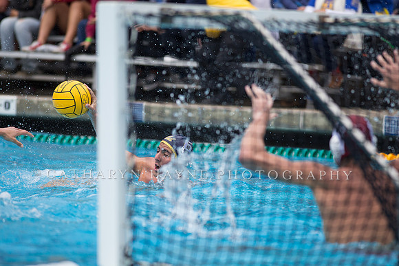 Cal vs Stanford at Mountain Pacific Sports Federation 2016
