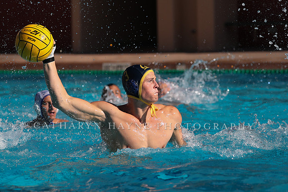 Collegiate Mens Water Polo: MPSF Invitational: California Golden Bears vs UC Santa Barbara Gauchos