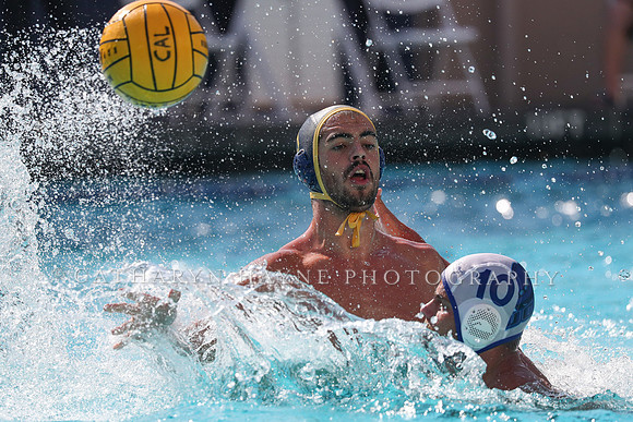 Collegiate Mens Water Polo: California Golden Bears vs UC Santa Barbara Gauchos