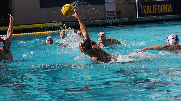 Collegiate Mens Water Polo: California Golden Bears vs UC Santa Barbara Gauchos