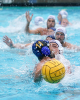 MWP:California Golden Bears vs UCSB Gauchos