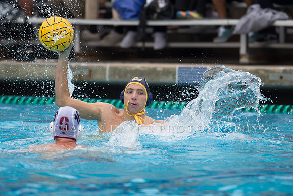 Cal vs Stanford at Mountain Pacific Sports Federation 2016