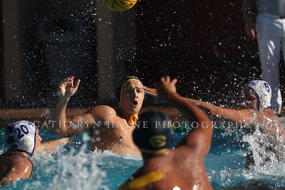 Collegiate Mens Water Polo: MPSF Invitational: California Golden Bears vs UC Santa Barbara Gauchos
