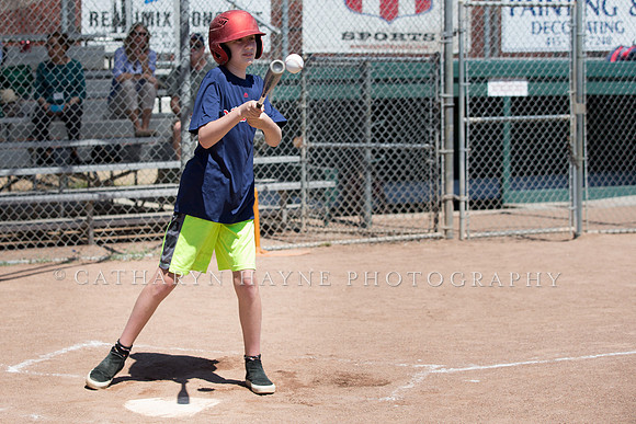 Project Awareness and Special Sports Baseball,