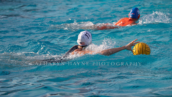 USA Water Polo Women's Water Polo Exhibition Series: USA vs Netherlands