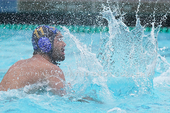 MWP:California Golden Bears vs UCSB Gauchos