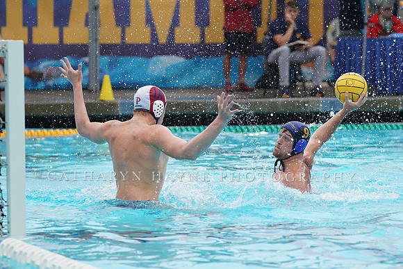MWP:California Golden Bears vs UCSB Gauchos
