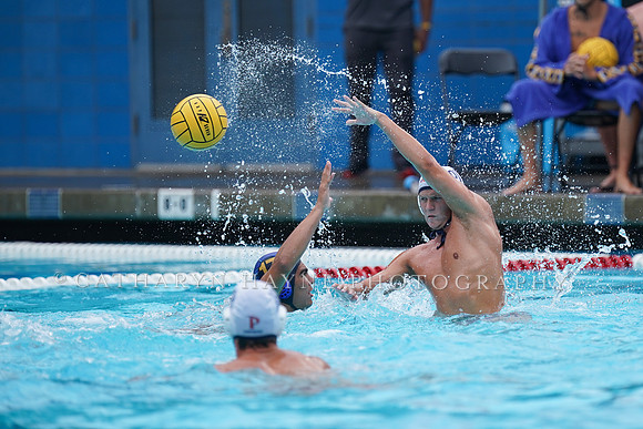 MWP:California Golden Bears vs UCSB Gauchos