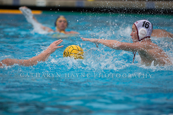 Cal vs Stanford at Mountain Pacific Sports Federation 2016