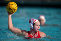 Emily Scheerer