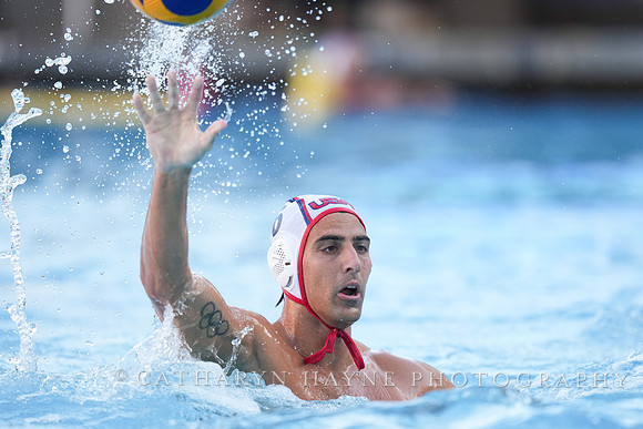 Luca Cupido
