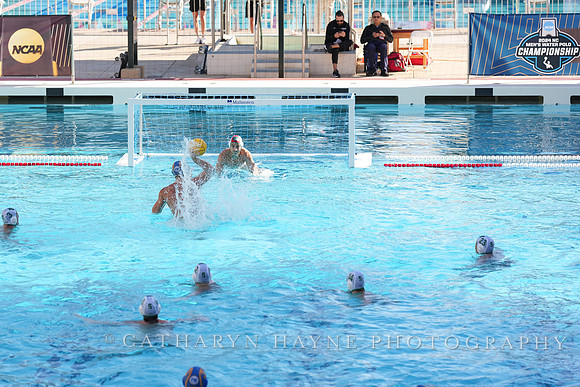 MWP: Salem University Tigers vs UCLA Bruins