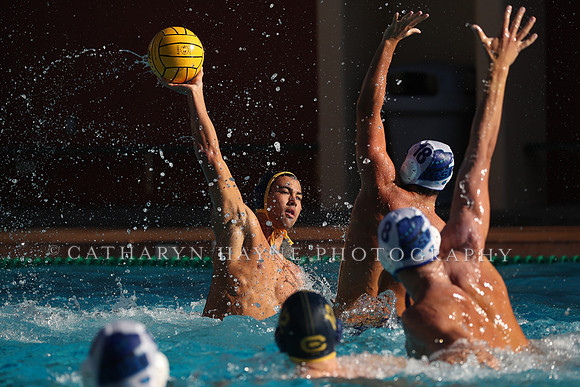 Collegiate Mens Water Polo: MPSF Invitational: California Golden Bears vs UC Santa Barbara Gauchos