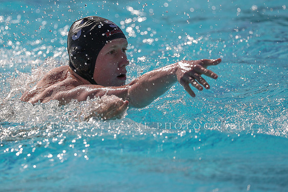 High School Water Polo: Redwood High School Varsity vs Palo Alto High School Varsity