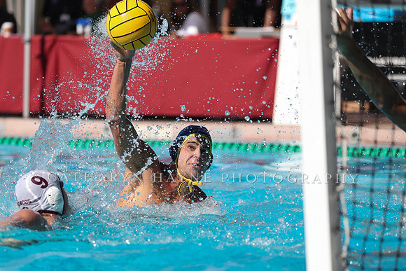 Collegiate Men's Water Polo: MPSF Invitational: UC San Diego Tritons vs Santa Clara University Broncos