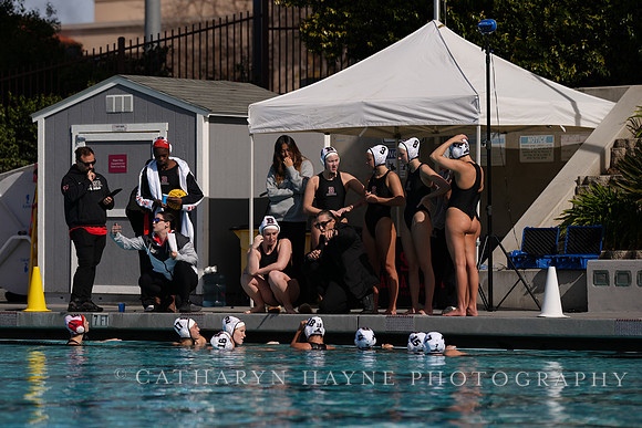 WWP: Brown University Bears vs SJSU Spartans