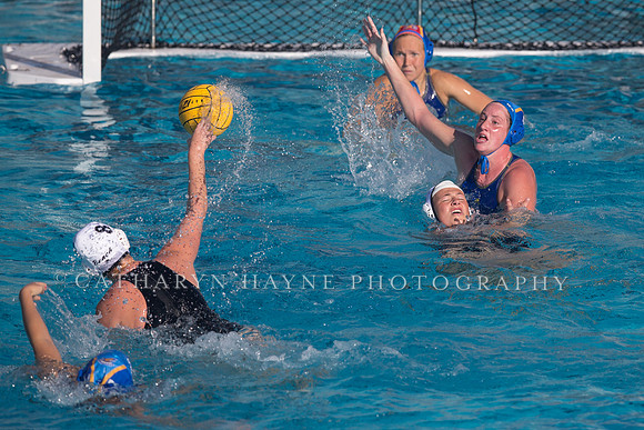 Cal vs SJSU at California Speedo Cup