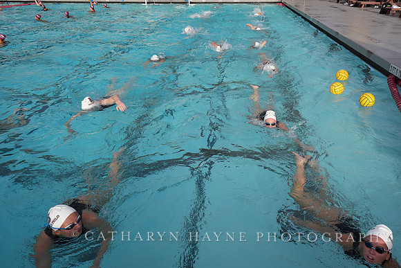 WWP: Brown University Bears vs Santa Clara Broncos