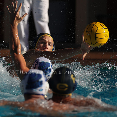 Collegiate Mens Water Polo: MPSF Invitational: California Golden Bears vs UC Santa Barbara Gauchos