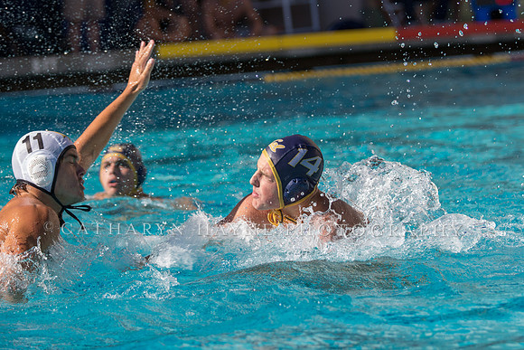20141102CalvLBSUlr-47