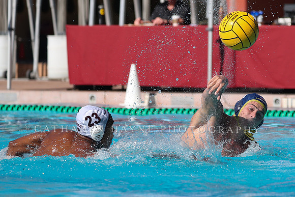 Collegiate Men's Water Polo: MPSF Invitational: UC San Diego Tritons vs Santa Clara University Broncos