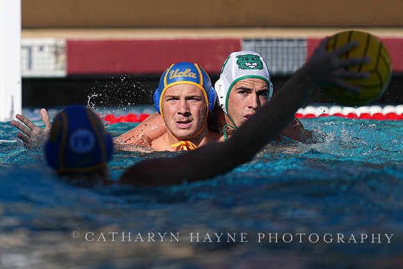 MWP: Salem University Tigers vs UCLA Bruins