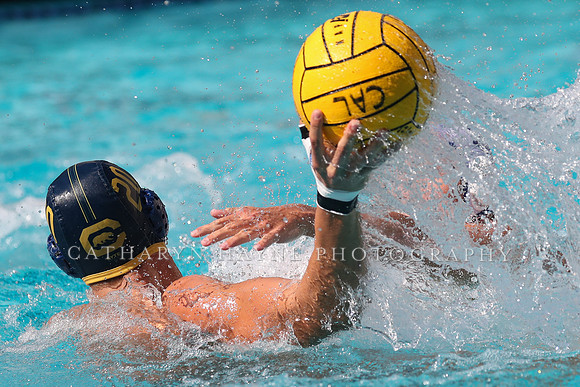 Collegiate Mens Water Polo: California Golden Bears vs UC Santa Barbara Gauchos
