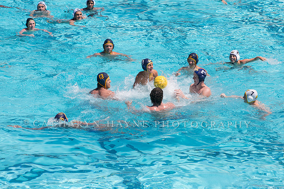 Cal Boys Water Polo Camp