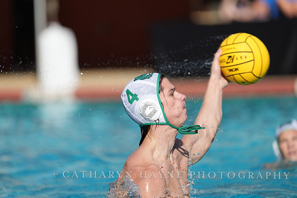 MWP: Salem University Tigers vs UCLA Bruins