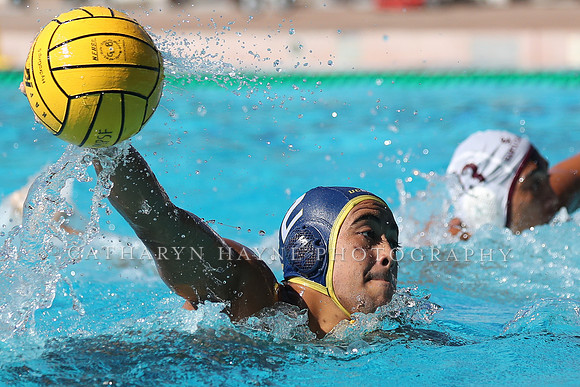 Collegiate Men's Water Polo: MPSF Invitational: UC San Diego Tritons vs Santa Clara University Broncos
