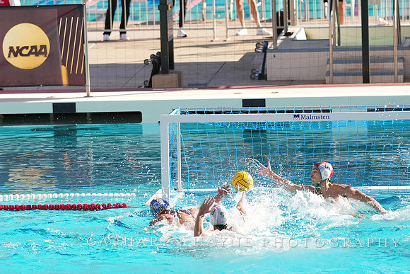 MWP: Salem University Tigers vs UCLA Bruins