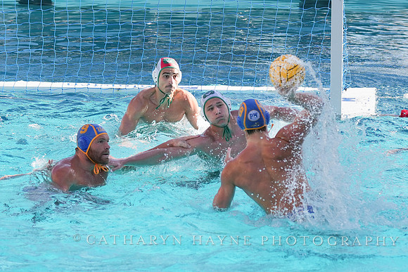MWP: Salem University Tigers vs UCLA Bruins