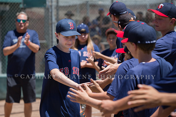 Project Awareness and Special Sports Baseball,