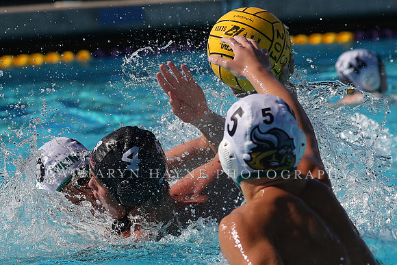 High School Water Polo: Redwood High School Varsity vs Palo Alto High School Varsity