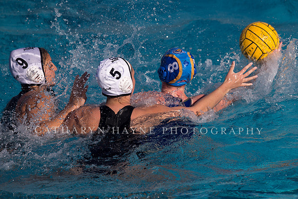Cal vs SJSU at California Speedo Cup