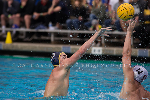 Cal vs Stanford at Mountain Pacific Sports Federation 2016