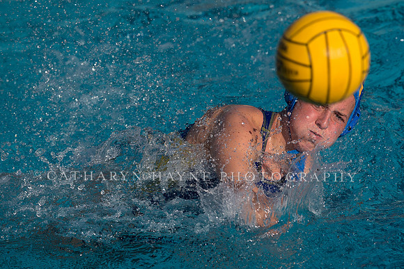 Cal vs SJSU at California Speedo Cup