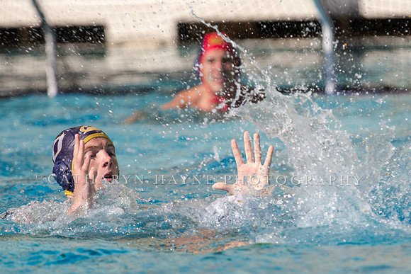20141102CalvLBSUlr-74