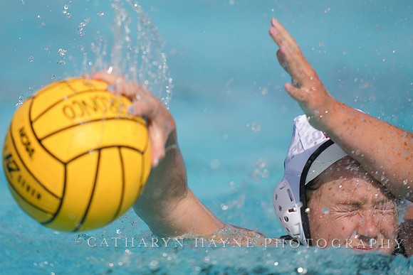 WWP: Brown University Bears vs SJSU Spartans