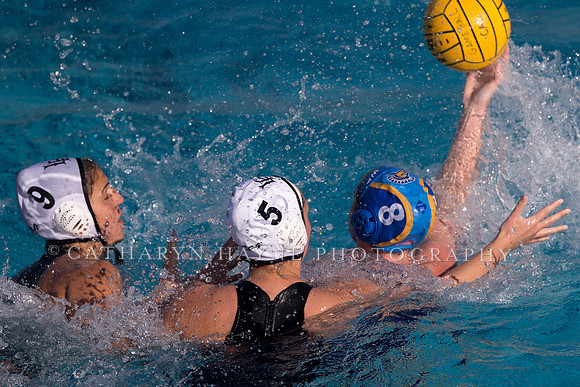 Cal vs SJSU at California Speedo Cup