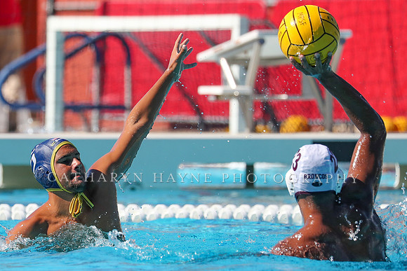 Collegiate Men's Water Polo: MPSF Invitational: UC San Diego Tritons vs Santa Clara University Broncos
