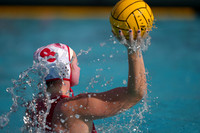 Emily Scheerer