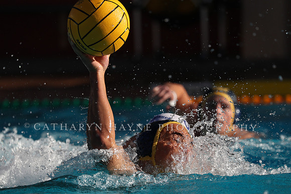 Collegiate Mens Water Polo: MPSF Invitational: California Golden Bears vs UC Santa Barbara Gauchos