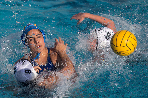 Cal vs SJSU at California Speedo Cup