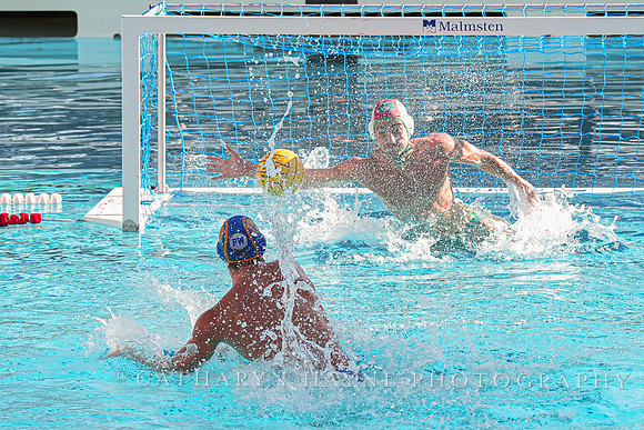 MWP: Salem University Tigers vs UCLA Bruins