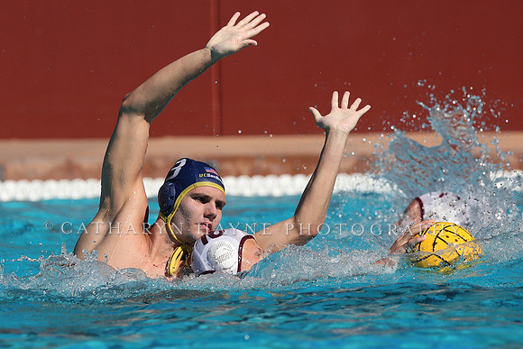 Collegiate Men's Water Polo: MPSF Invitational: UC San Diego Tritons vs Santa Clara University Broncos